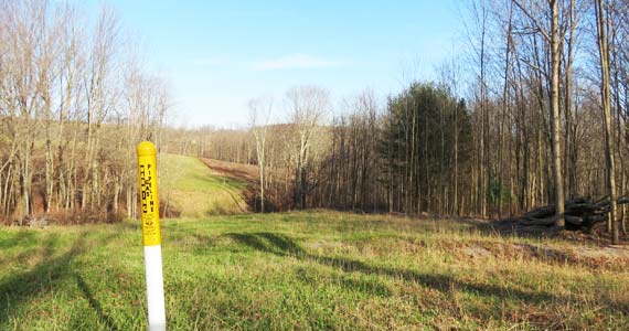 What Is The Marcellus Shale Formation?